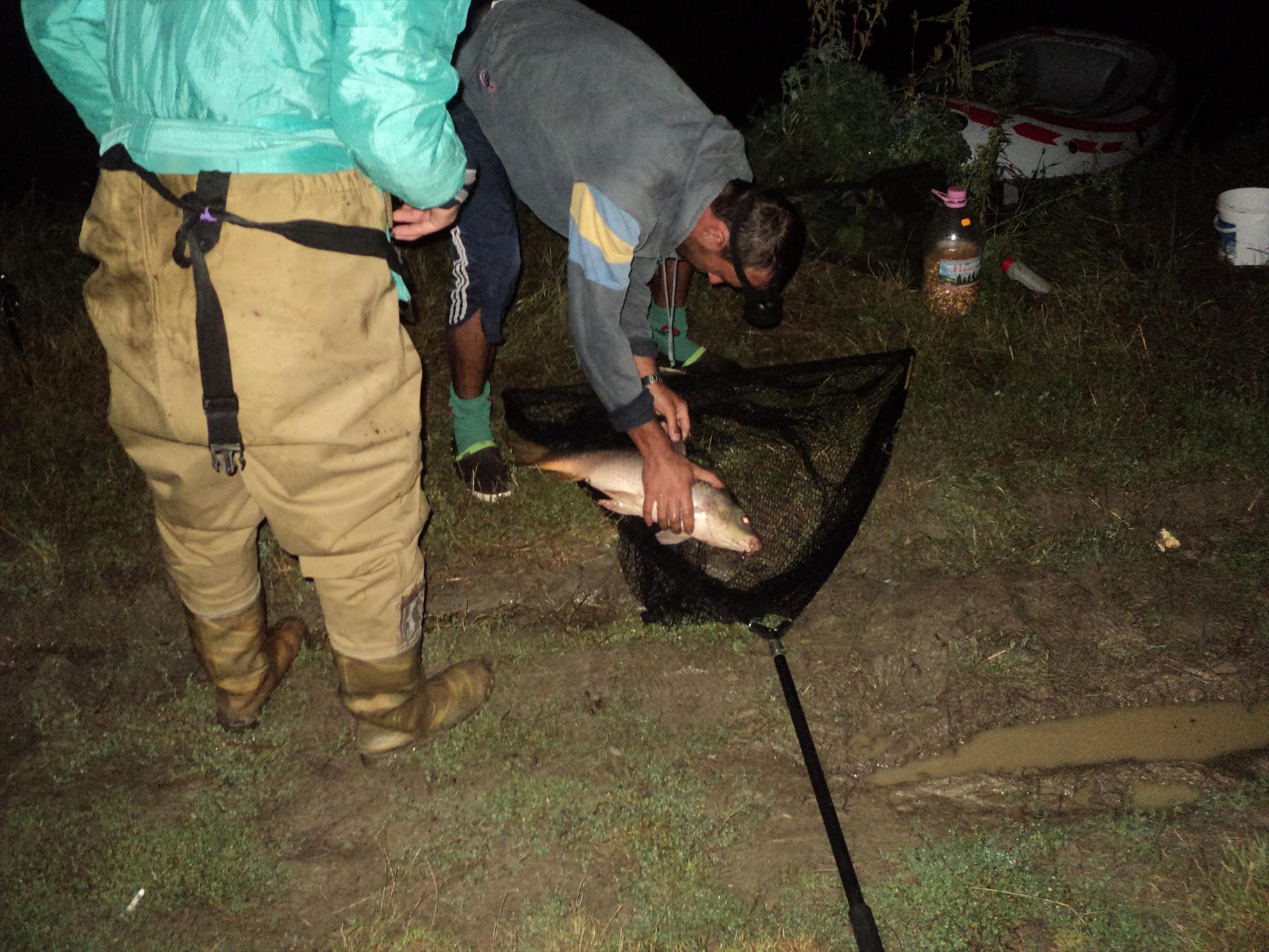 o mica parte din pesti de anul trecut - m a trezit din somn, si fotografu se trezise la finalul partidei